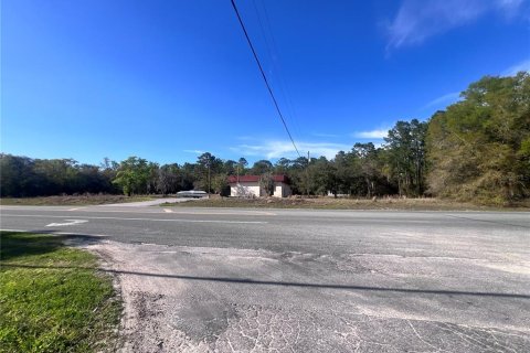 Commercial property in Homosassa, Florida 285.21 sq.m. № 2425709 - photo 16