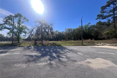 Commercial property in Homosassa, Florida 285.21 sq.m. № 2425709 - photo 13