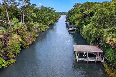 Villa ou maison à vendre à Palm Coast, Floride: 5 chambres, 258.92 m2 № 2099734 - photo 3