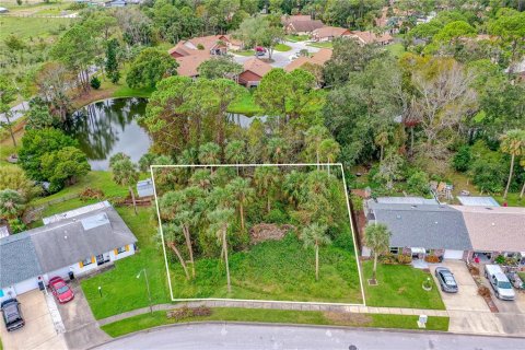 Land in Port Orange, Florida № 2134962