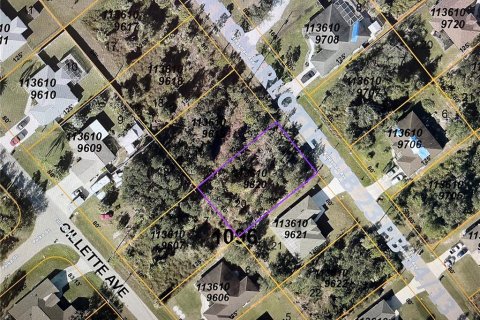 Land in North Port, Florida № 2233348