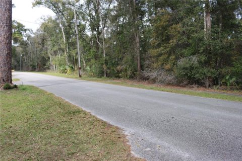 Terreno en venta en DeLand, Florida № 214592 - foto 1