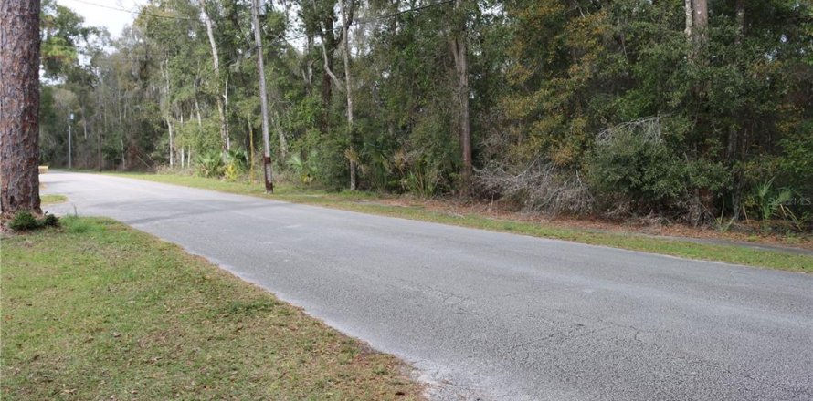 Terreno en DeLand, Florida № 214592