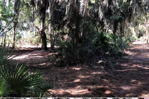 Terreno en venta en Frostproof, Florida № 2232935 - foto 3