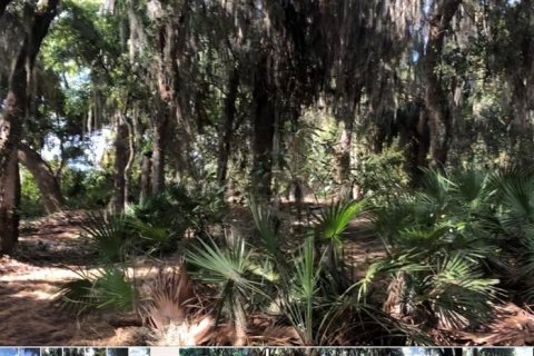 Terreno en venta en Frostproof, Florida № 2232935 - foto 7