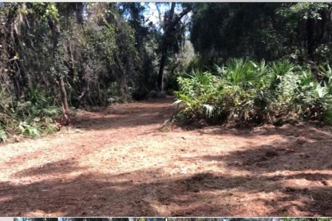 Terreno en venta en Frostproof, Florida № 2232935 - foto 5