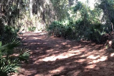 Terreno en venta en Frostproof, Florida № 2232935 - foto 2