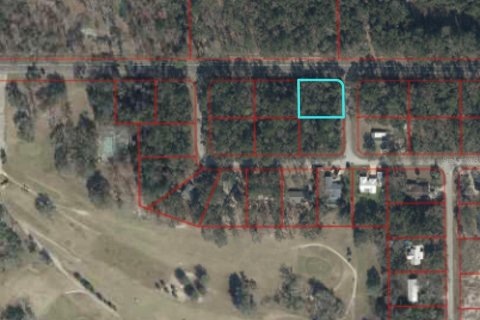 Land in Chiefland, Florida № 2163058 - photo 2