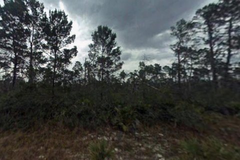 Land in Sebring, Florida № 2165204