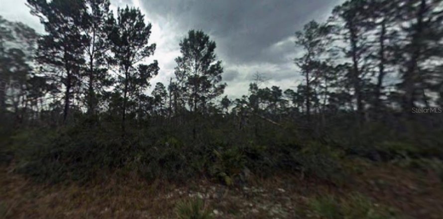 Land in Sebring, Florida № 2165204