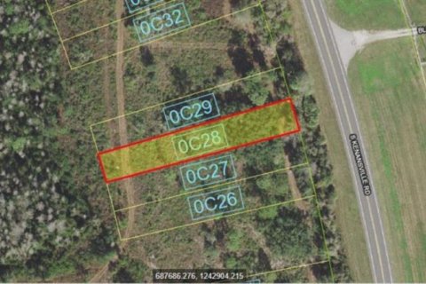 Land in Okeechobee, Florida № 2164801 - photo 4