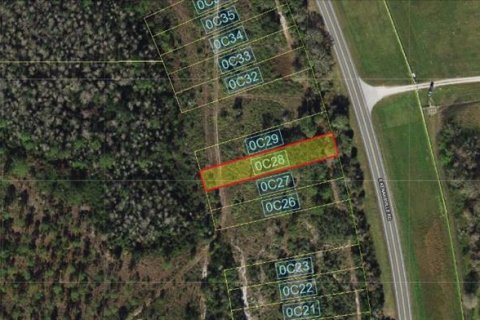 Land in Okeechobee, Florida № 2164801 - photo 2