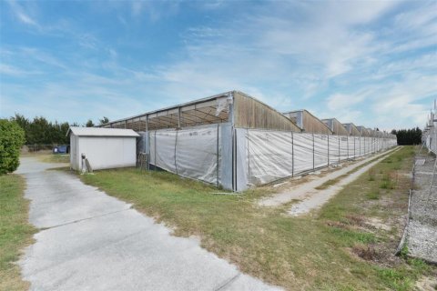 Купить коммерческую недвижимость в Юстис, Флорида 214.6м2, № 1640224 - фото 29