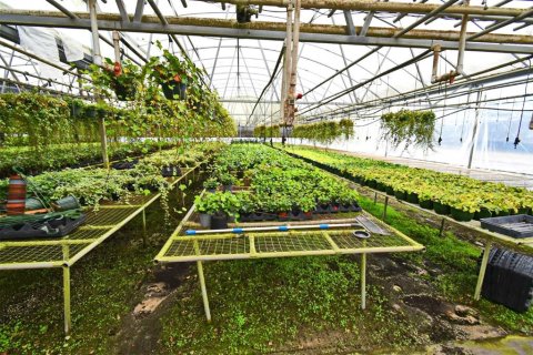 Купить коммерческую недвижимость в Юстис, Флорида 214.6м2, № 1640224 - фото 13