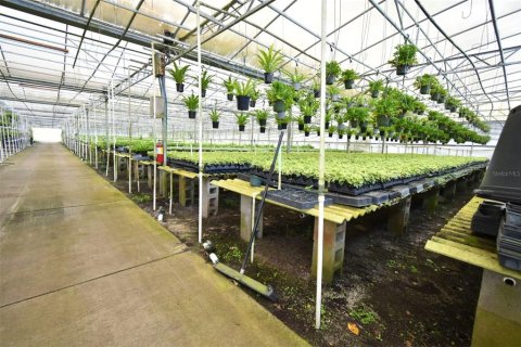 Купить коммерческую недвижимость в Юстис, Флорида 214.6м2, № 1640224 - фото 7