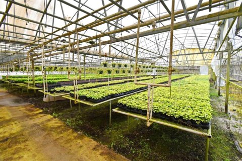 Купить коммерческую недвижимость в Юстис, Флорида 214.6м2, № 1640224 - фото 16