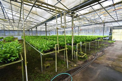 Купить коммерческую недвижимость в Юстис, Флорида 214.6м2, № 1640224 - фото 10