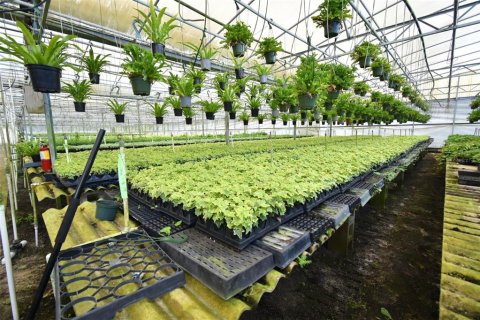 Купить коммерческую недвижимость в Юстис, Флорида 214.6м2, № 1640224 - фото 8