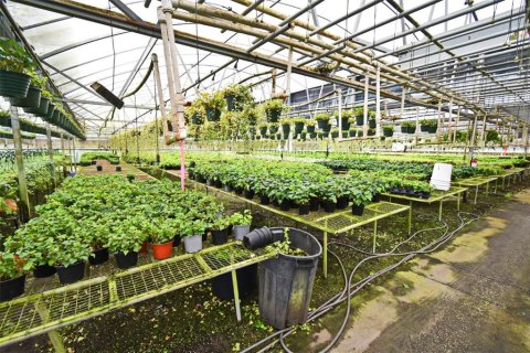Купить коммерческую недвижимость в Юстис, Флорида 214.6м2, № 1640224 - фото 14