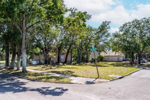 Terreno en venta en Saint Petersburg, Florida № 1740476 - foto 4