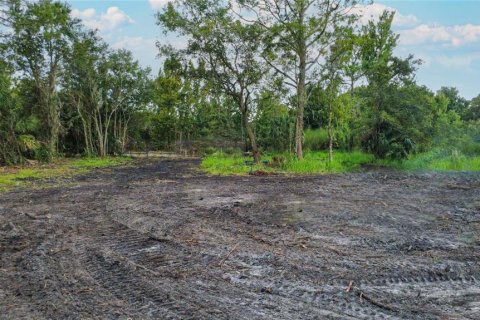 Terrain à vendre à New Smyrna Beach, Floride № 2407090 - photo 22