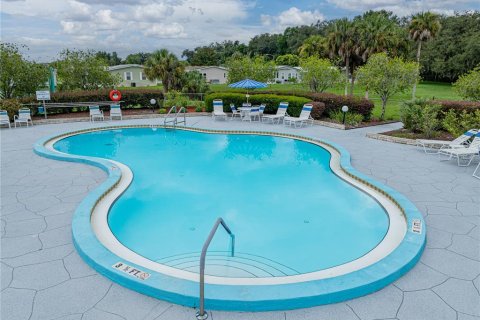 Land in Zephyrhills, Florida № 2159554 - photo 10