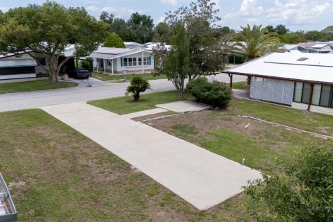 Land in Zephyrhills, Florida № 2159554 - photo 4