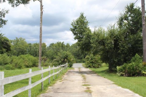 Commercial property in Kissimmee, Florida 217.02 sq.m. № 2321310 - photo 2