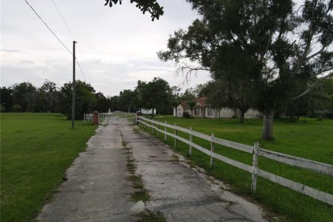 Commercial property in Kissimmee, Florida 217.02 sq.m. № 2321310 - photo 10