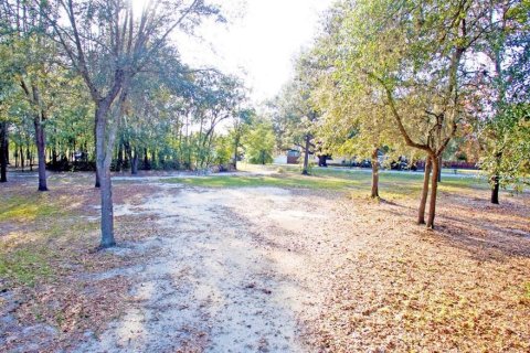 Land in Summerfield, Florida № 1286015 - photo 2