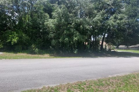 Land in Summerfield, Florida № 1286015 - photo 4