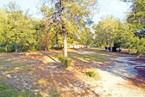 Land in Summerfield, Florida № 1286015 - photo 1