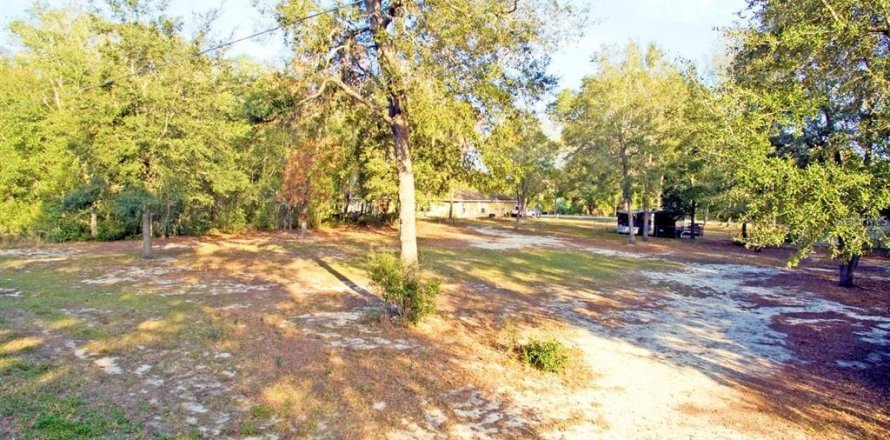 Land in Summerfield, Florida № 1286015