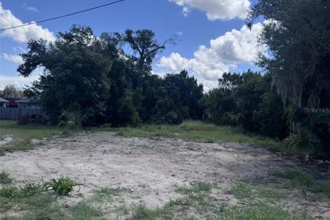 Land in Lake Wales, Florida № 2333991