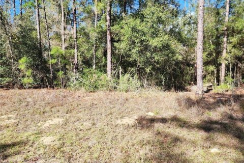 Land in Citrus Springs, Florida № 2225319 - photo 2