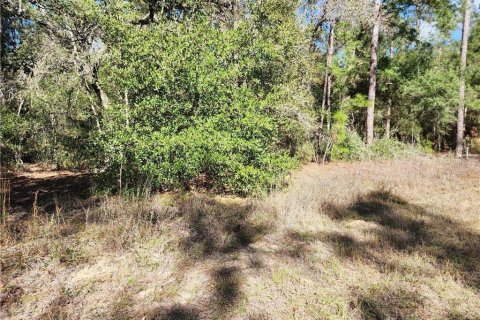 Terreno en Citrus Springs, Florida № 2225319