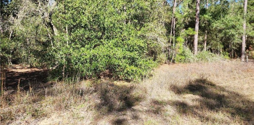 Land in Citrus Springs, Florida № 2225319