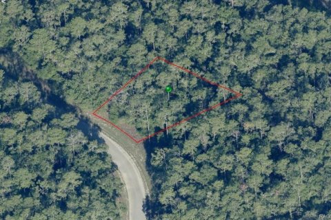 Land in Citrus Springs, Florida № 2225319 - photo 8
