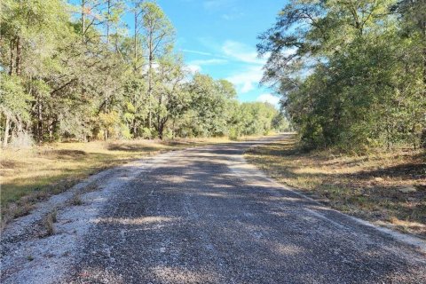 Land in Citrus Springs, Florida № 2225319 - photo 5