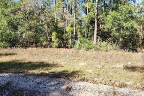 Land in Citrus Springs, Florida № 2225319 - photo 4