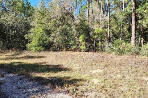 Land in Citrus Springs, Florida № 2225319 - photo 3