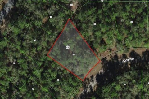 Land in Citrus Springs, Florida № 2225319 - photo 7