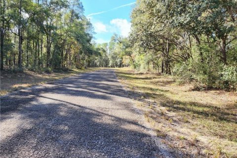Land in Citrus Springs, Florida № 2225319 - photo 6
