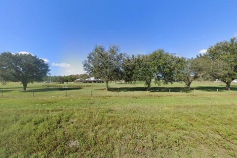 Land in Polk City, Florida № 2202833 - photo 2