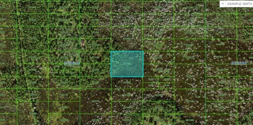 Land in Polk City, Florida № 2202833