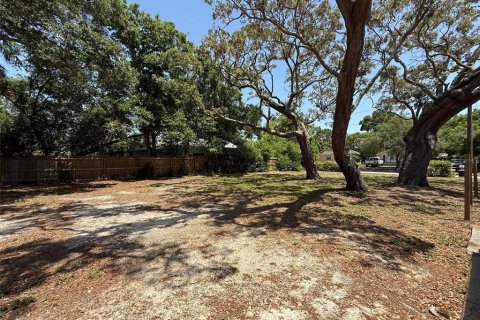 Land in Clearwater, Florida № 1838789 - photo 5