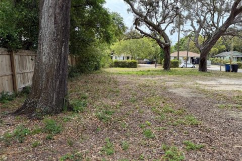 Land in Clearwater, Florida № 1838789 - photo 6