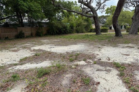 Land in Clearwater, Florida № 1838789 - photo 2