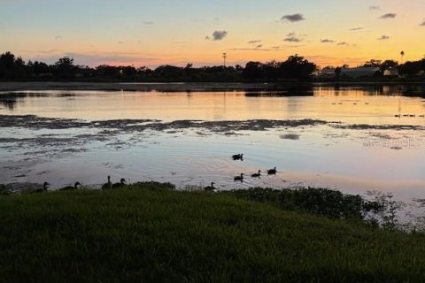 Land in Clearwater, Florida № 1838789 - photo 13