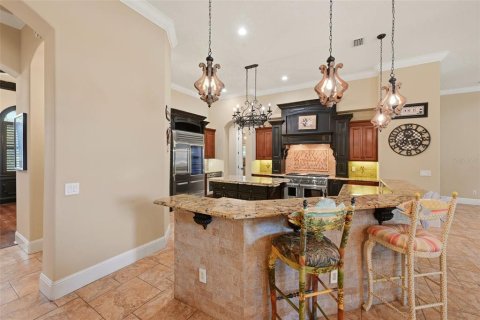 House in Windermere, Florida 6 bedrooms, 526.38 sq.m. № 2283685 - photo 19
